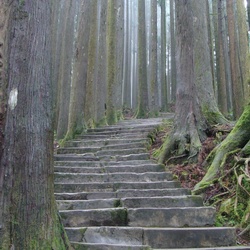 2010-10 China/Taiwan/2010:10:08-08:15:44_DSC04303.JPG